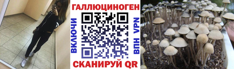 Галлюциногенные грибы Magic Shrooms  МЕГА вход  Самара  закладка 